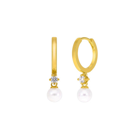 PENDIENTES PLATA 1 LEY BRISA