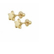 PENDIENTE ESTRELLA ORO 1 ley