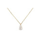 CADENA/COLGANTE ORO 1 LEY