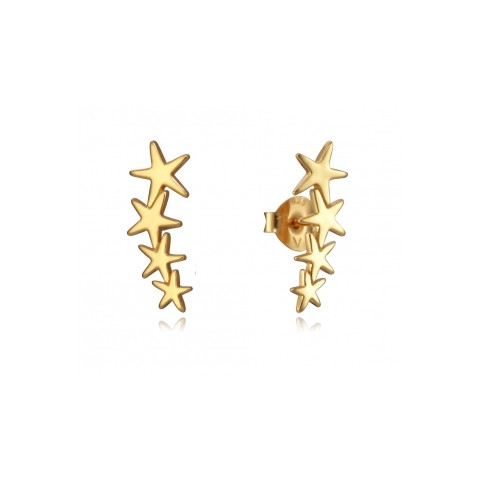 PENDIENTES PLATA 1 LEY ESTRELLA