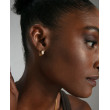 PENDIENTES ACERO DORADO 