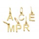 COLGANTE INICIAL ORO 1 LEY