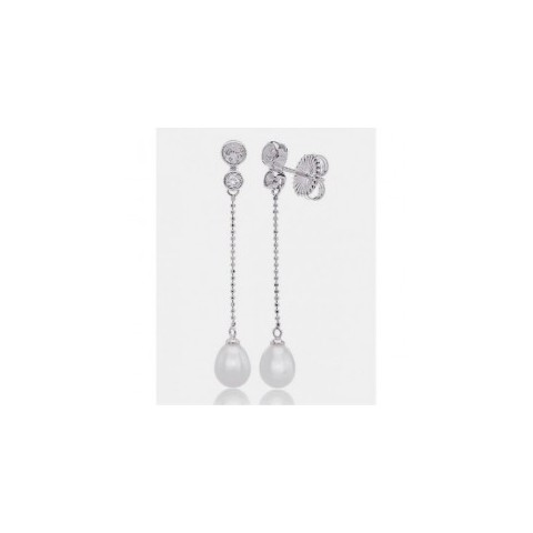 PENDIENTES PLATA 1 LEY