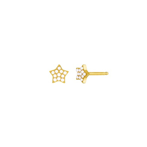 PENDIENTES PLATA 1 LEY SECRETS