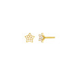 PENDIENTES PLATA 1 LEY SECRETS