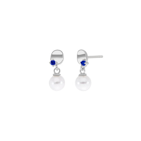 PENDIENTES PLATA 1 LEY BRISA
