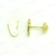 PENDIENTES PIE ORO 1 LEY