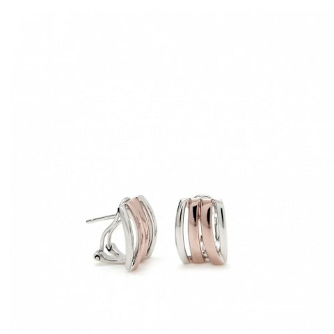 PENDIENTES PLATA 1 LEY